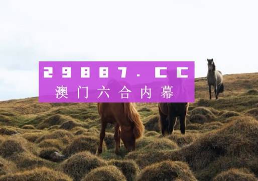 澳門(mén)六開(kāi)獎(jiǎng)結(jié)果2023開(kāi)獎(jiǎng)記錄查詢(xún)網(wǎng)站,澳門(mén)六開(kāi)獎(jiǎng)結(jié)果2023開(kāi)獎(jiǎng)記錄查詢(xún)網(wǎng)站，探索與解析