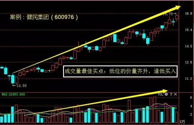 香港今晚開特馬 開獎(jiǎng)結(jié)果66期,香港今晚開特馬，第66期開獎(jiǎng)結(jié)果分析預(yù)測(cè)與影響探討