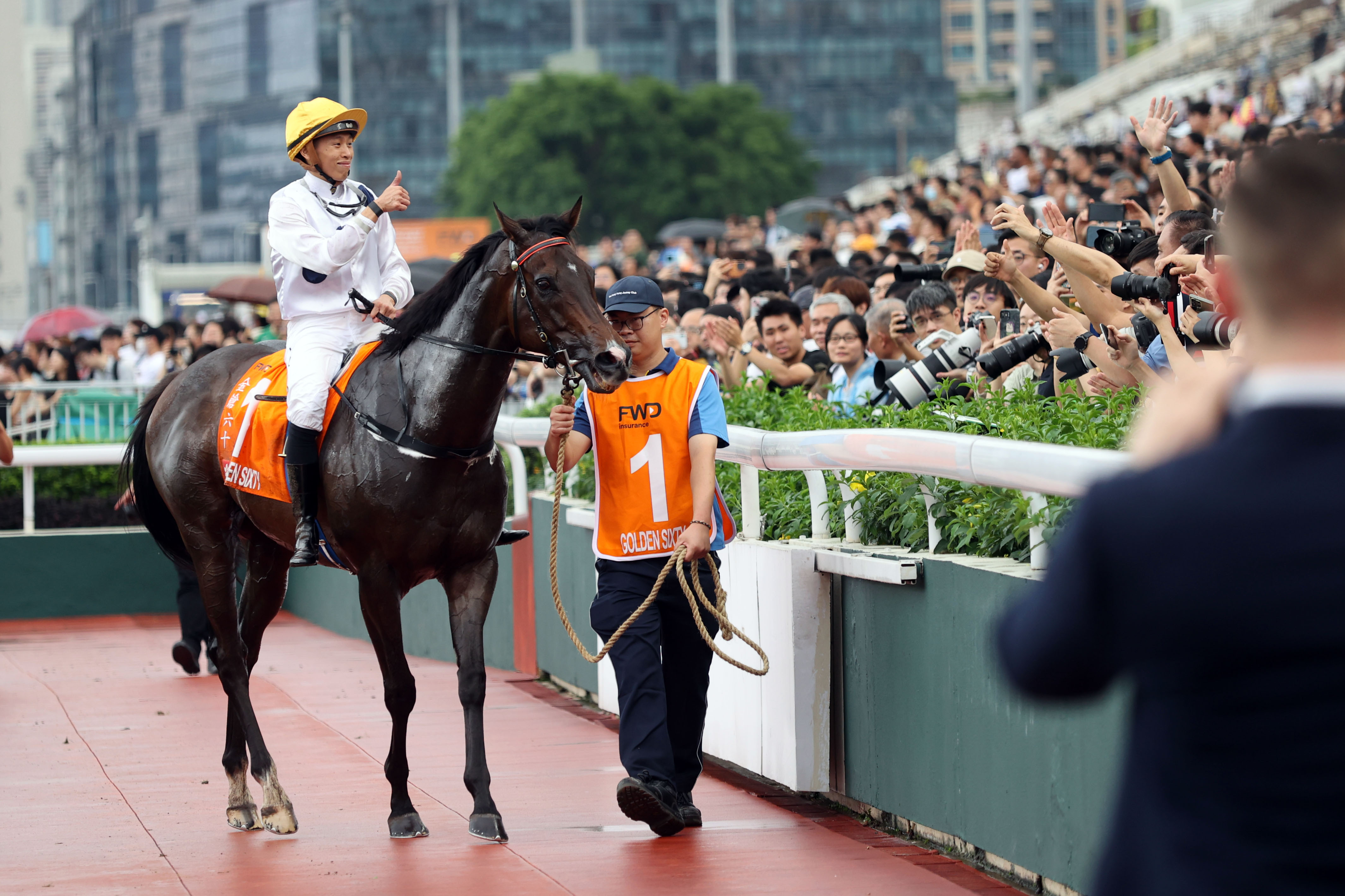香港馬買馬網(wǎng)站www,香港馬買馬網(wǎng)站——探索賽馬文化的獨(dú)特魅力