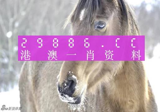 澳門一肖一碼100%準(zhǔn)確?,澳門一肖一碼，揭秘所謂的100%準(zhǔn)確預(yù)測背后的真相