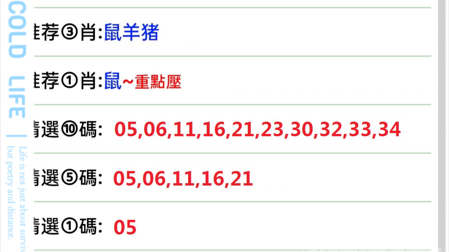 澳門(mén)一肖一碼中持一肖一碼,澳門(mén)一肖一碼中持一肖一碼，探索與解析
