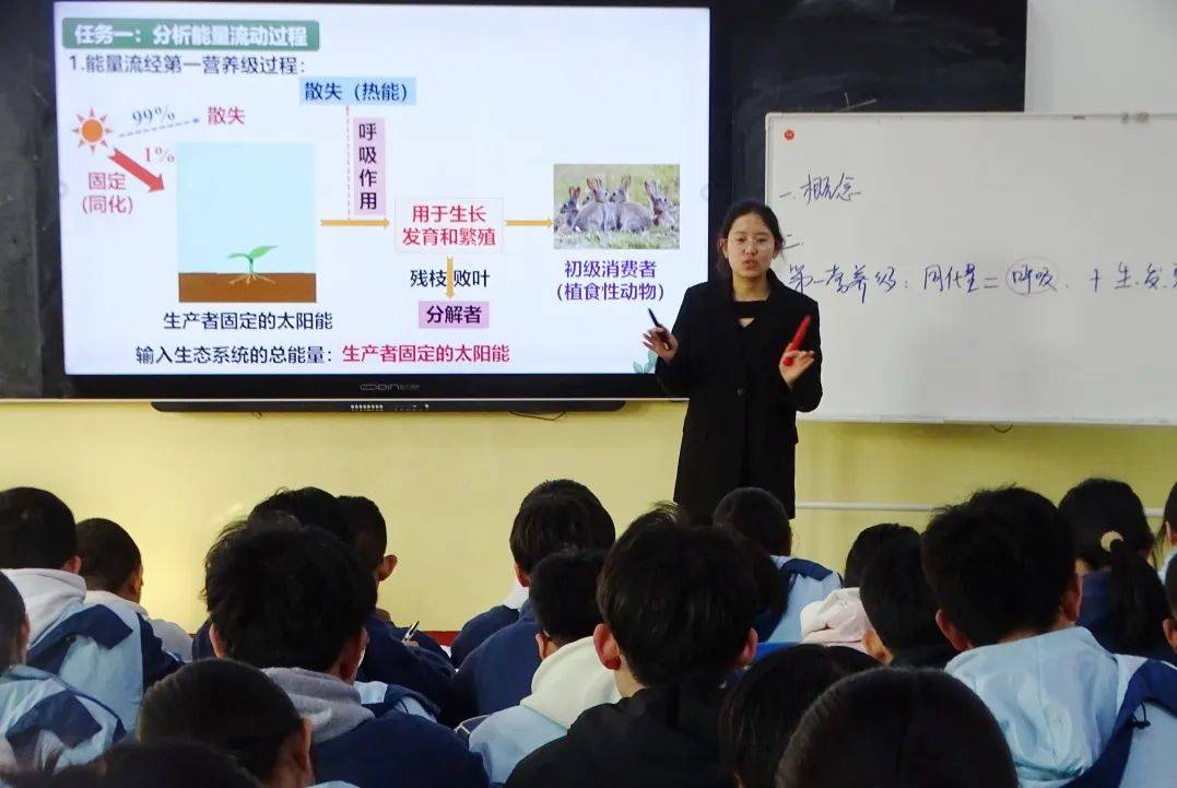 2025年一肖一碼一中一特,探索未來(lái)彩票奧秘，2025年一肖一碼一中一特