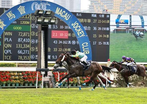 2025澳門今晚開(kāi)特馬結(jié)果,澳門今晚開(kāi)特馬結(jié)果，探索與期待