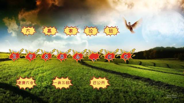 新澳門彩4949歷史記錄,新澳門彩4949歷史記錄，探索與解析