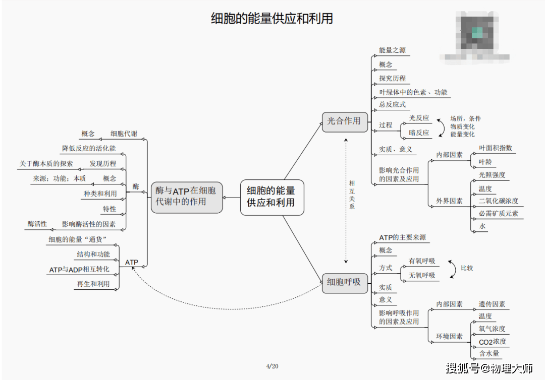 白小姐三肖三期必出一期開(kāi)獎(jiǎng),白小姐三肖三期必出一期開(kāi)獎(jiǎng)——揭秘彩票神話背后的真相
