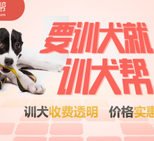7777788888管家婆狗082期 16-25-29-32-45-47X：37,探索數(shù)字奧秘，關于7777788888管家婆狗與彩票期數(shù)的研究報告